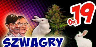 Szwagry – Odcinek 19