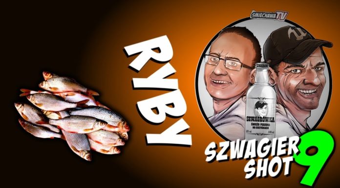 Ryby – Szwagier SHOT 9