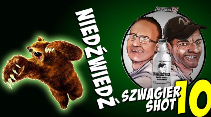 Niedźwiedź – Szwagier SHOT 10