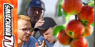 Jabłka „u Szwagra” – Video Dowcip