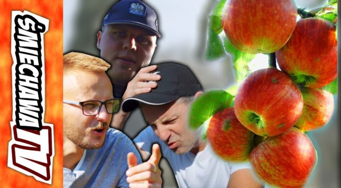 Jabłka „u Szwagra” – Video Dowcip